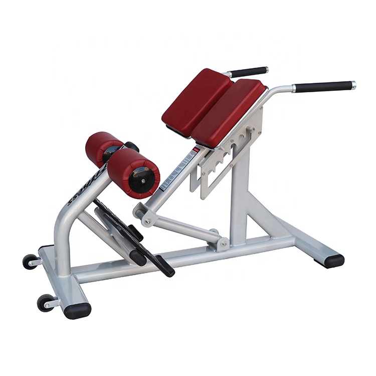 Sports Equipment In School - Unisex Roman Chair Adjustable Steel Sports