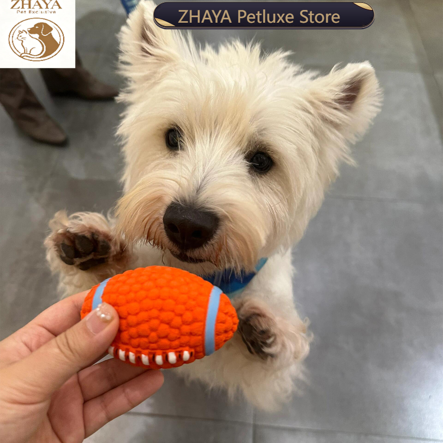 ZHAYA Pet Squeaky Interactive  - Rugby Training Ball 评论和价格