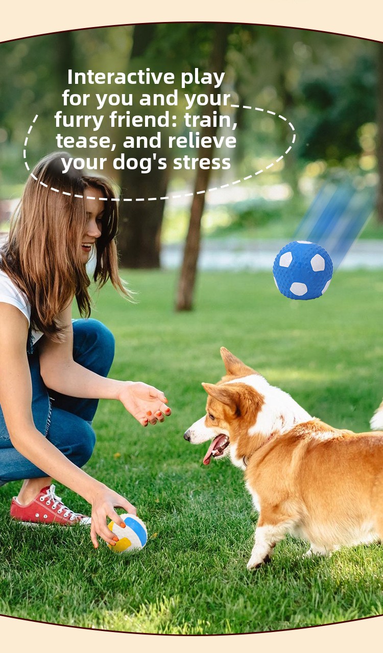 ZHAYA Pet Squeaky Interactive  - Rugby Training Ball 评论和价格