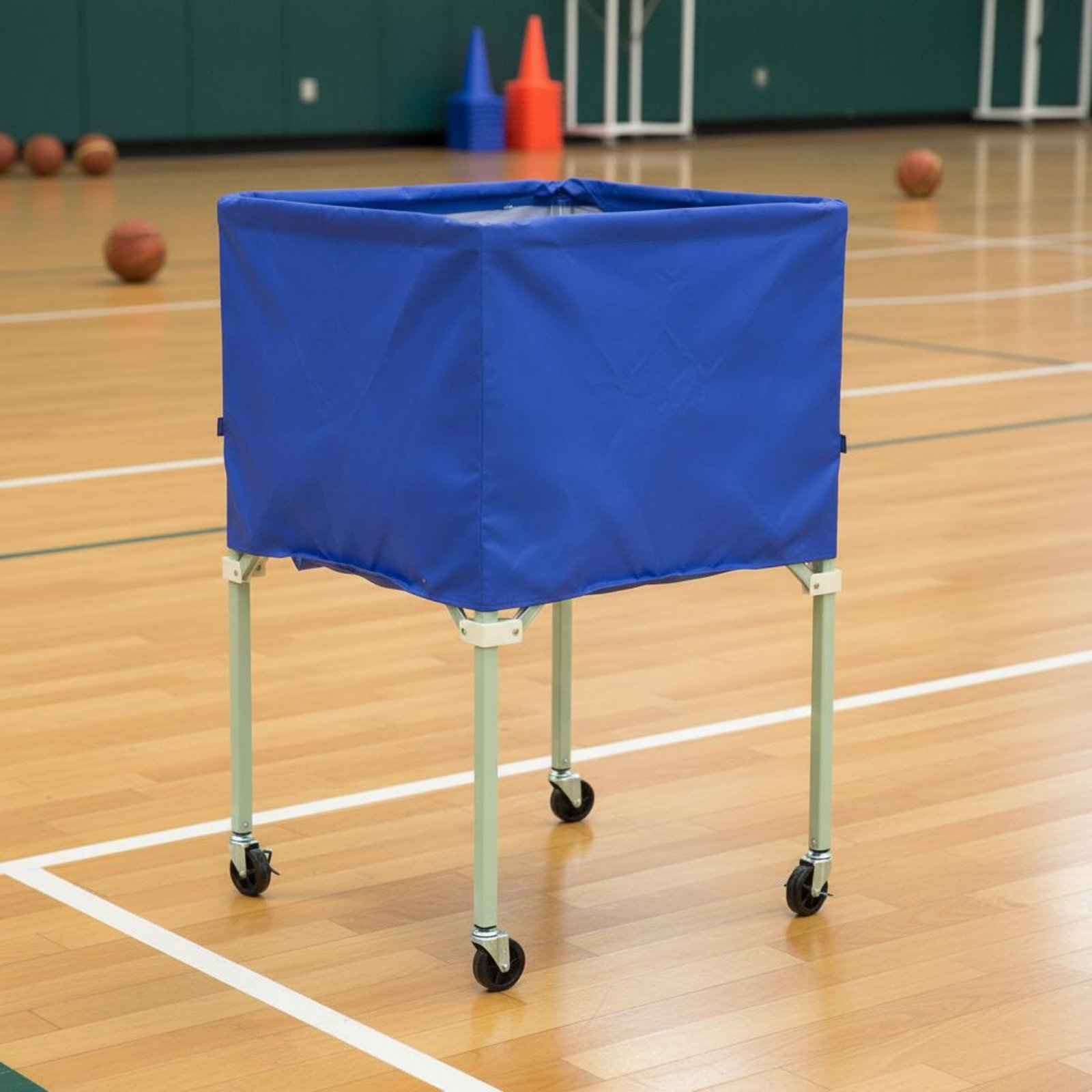 Ball Vehicle Cover Shielding S - Sports Equipment Organizer 评论和价格