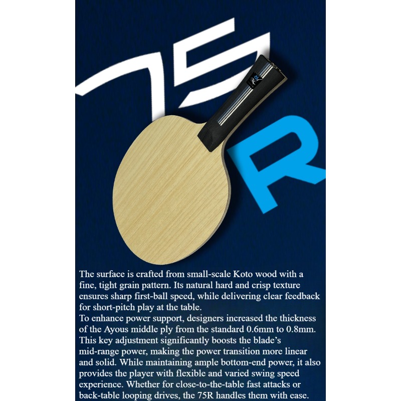 SANWEI 75R 5+2 Outer H-GLC Tab - Table Tennis Paddle 评论和价格